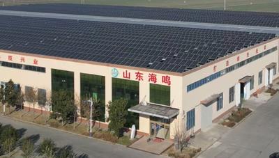 Shandong Haiming New Materials Co., Ltd.